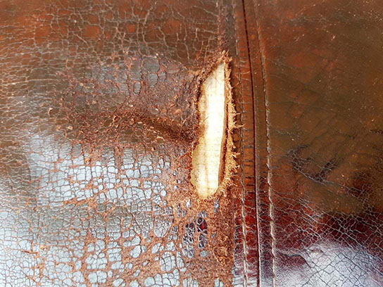 læderhynde repareres med ROC Læderlim, leather repair kit og farves med ROC Narvsværte